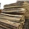 Sawn acacia stakes